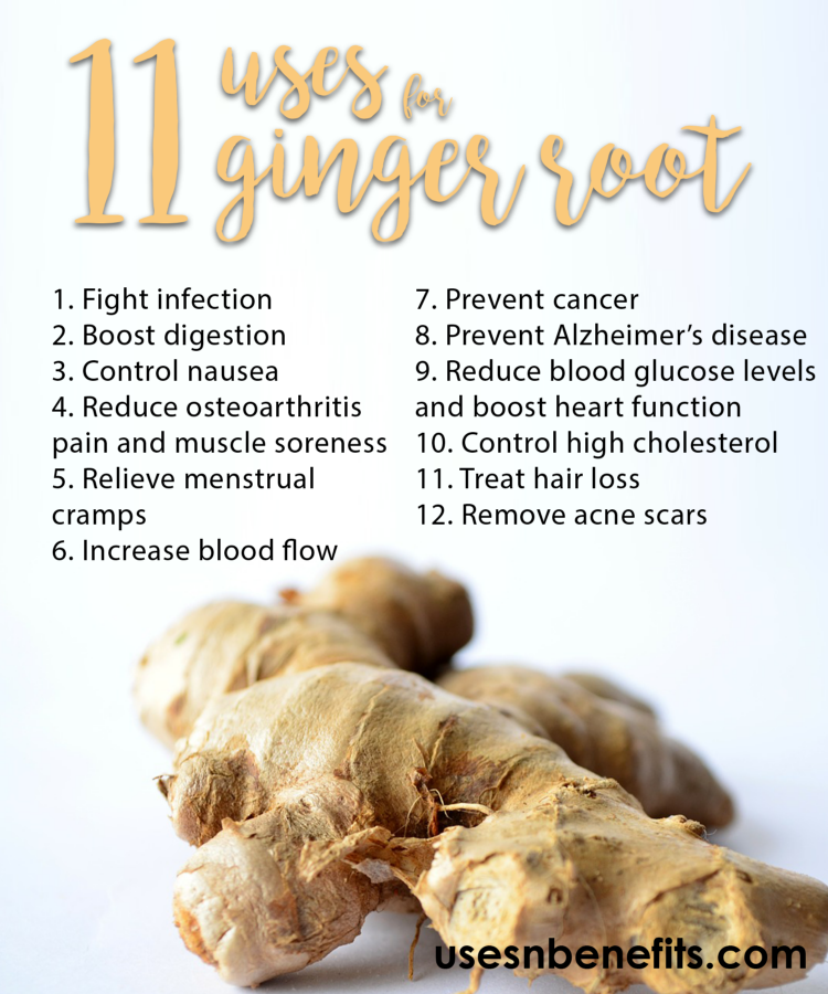 uses of ginger root